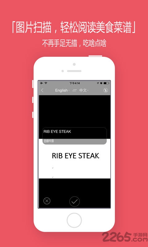 找翻译app 找翻译app