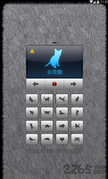 喵星语app下载