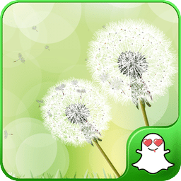 GalaxyS3蒲公英动态壁纸 v1.0.7 安卓版