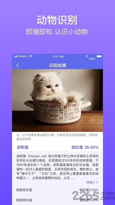 拍拍识图识字手机版