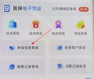 新疆兵团医保参保信息查询流程