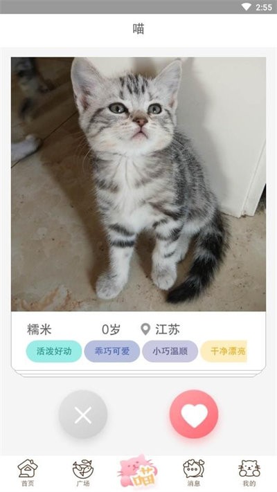 猫咪汇手机版