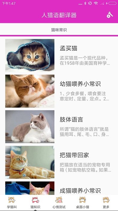 人猫语翻译器app