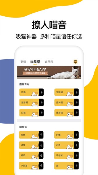 猫语翻译大全软件