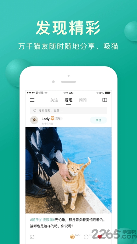 好好养养猫助手
