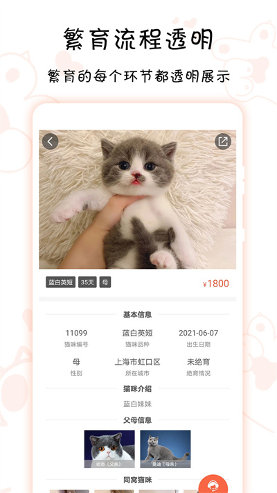 家连猫舍app