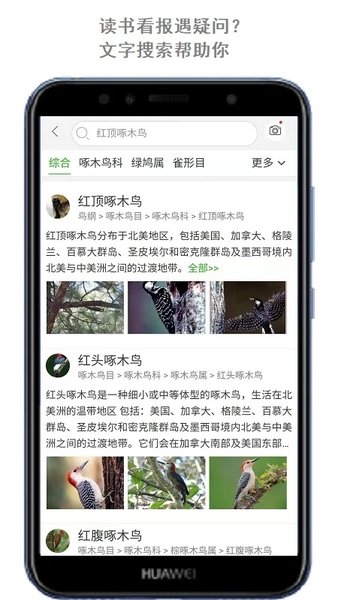 手机拍照识万物下载