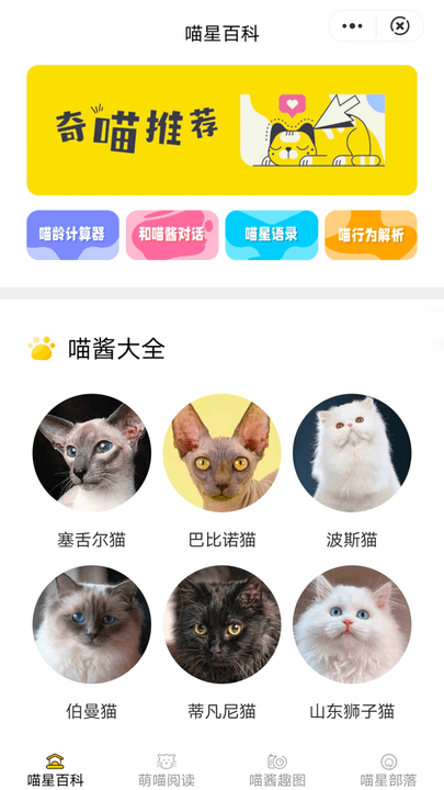 喵星百科app 喵星百科手机版下载