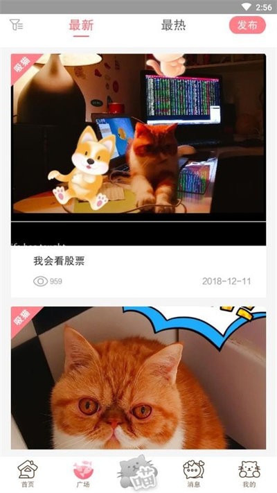 猫咪汇手机版