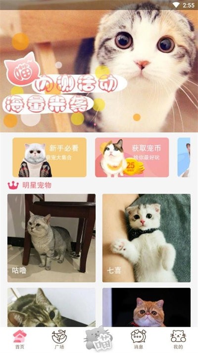 猫咪汇手机版