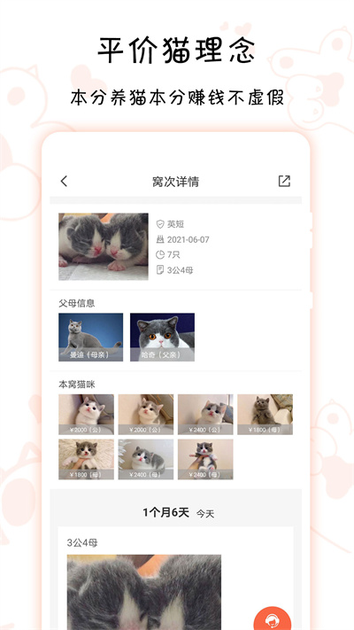 家连猫舍app