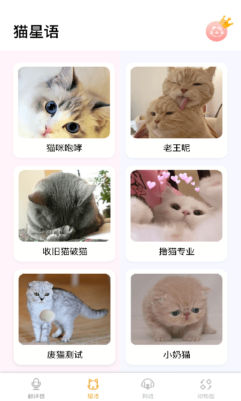 猫猫语翻译app