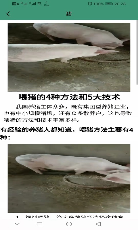 狮头鹅app下载