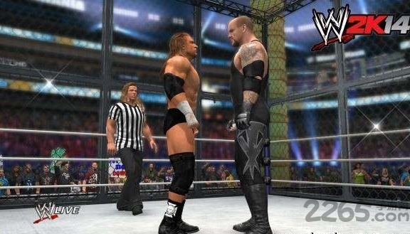 wwe2k14手机中文版