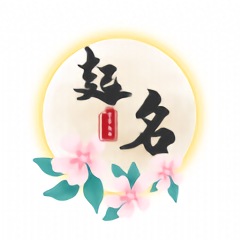 佳字起名取名app v1.0 安卓版