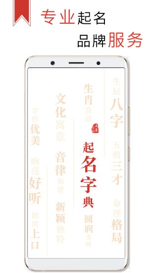 起名取名字典软件