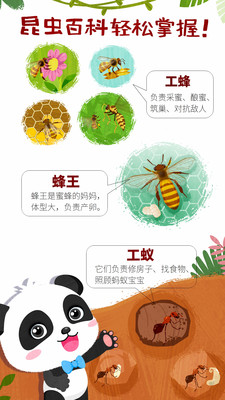 奇妙昆虫世界小游戏官方版