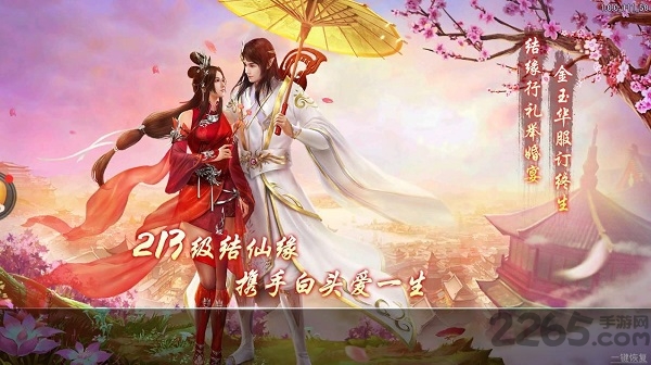 武林风云之轮回手机版