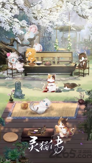 灵猫传哔哩哔哩版