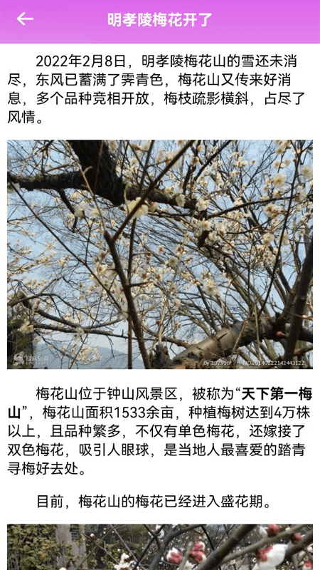 一日游手机版