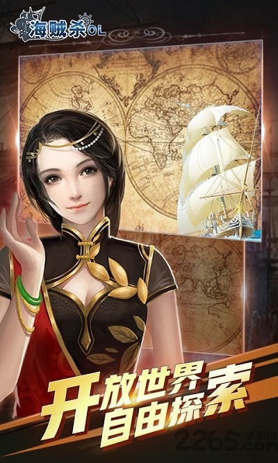 单机海贼杀手机版