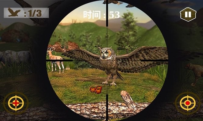 3d猫头鹰狩猎模拟游戏