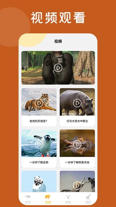 趣味动物园百科知识平台