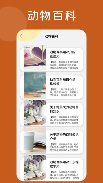 趣味动物园app下载
