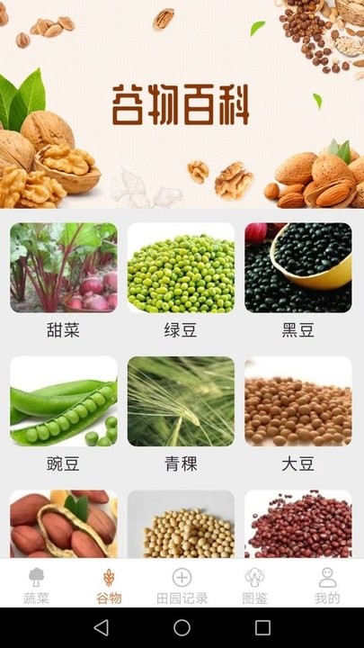 口袋田园app下载