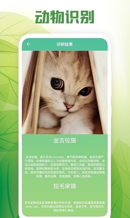 花卉百科app