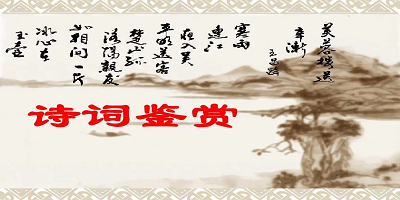 诗词鉴赏app