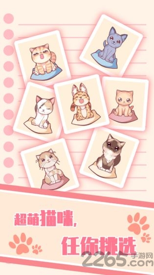 猫咪养成云撸猫