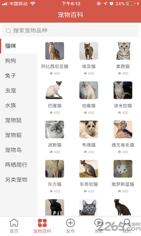 得宠领养
