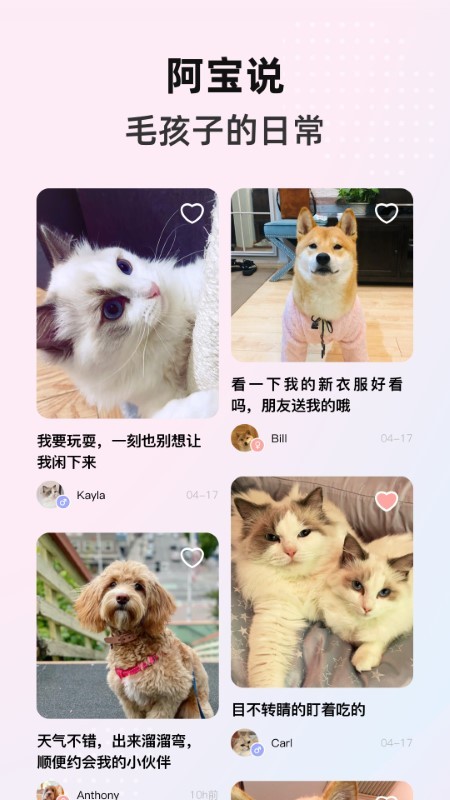 阿宝说软件下载