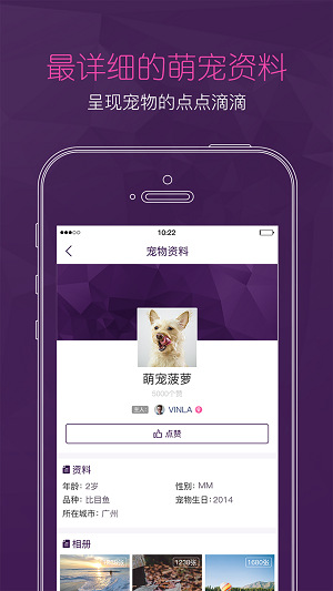 真宠app
