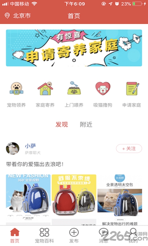 得宠领养