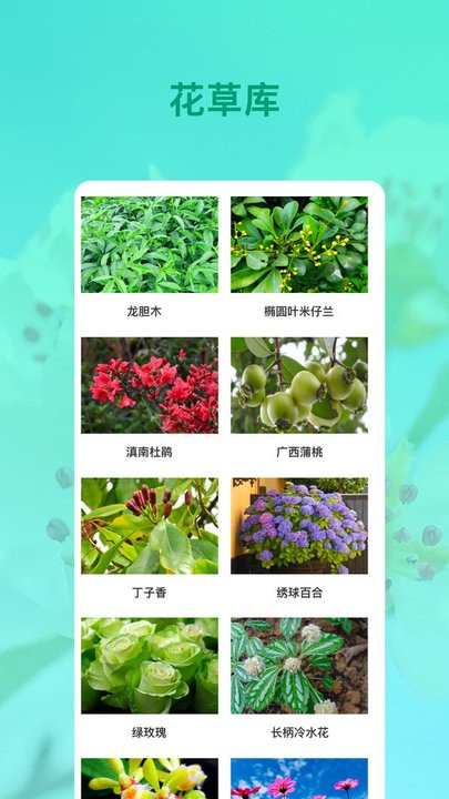 识花手机版下载