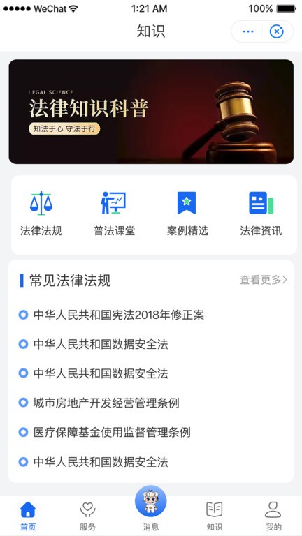 鸮法法律咨询系统