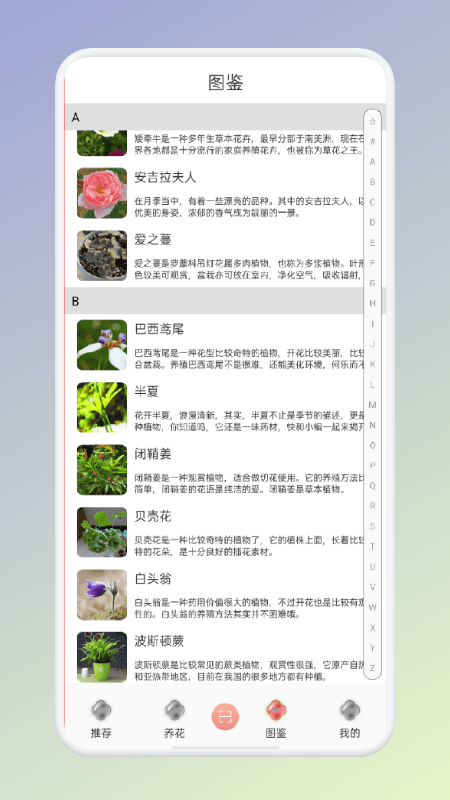 拍照识花识别植物app