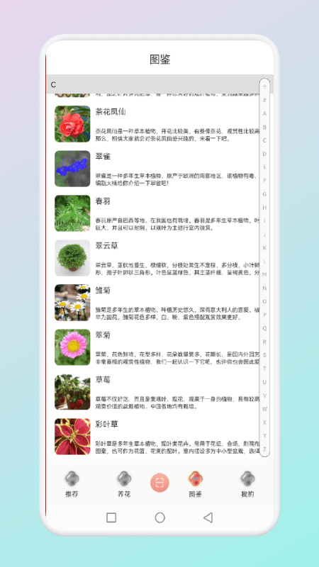拍照识花草软件