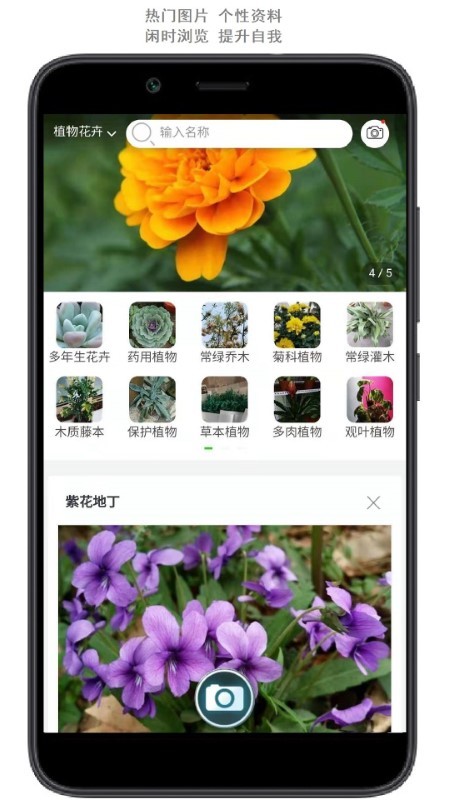 行色识花app