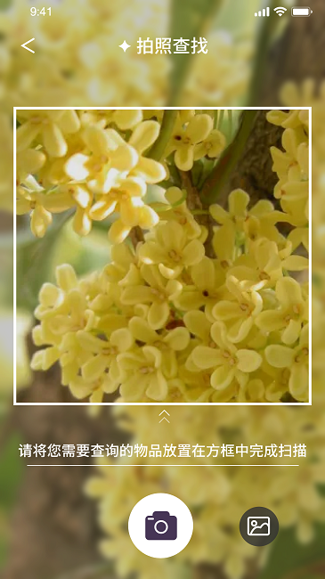 行色识花君官方版