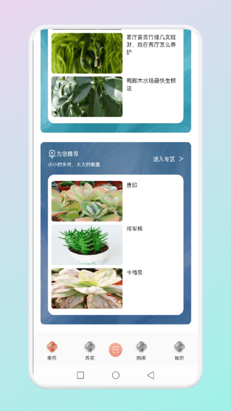 拍照识花草软件