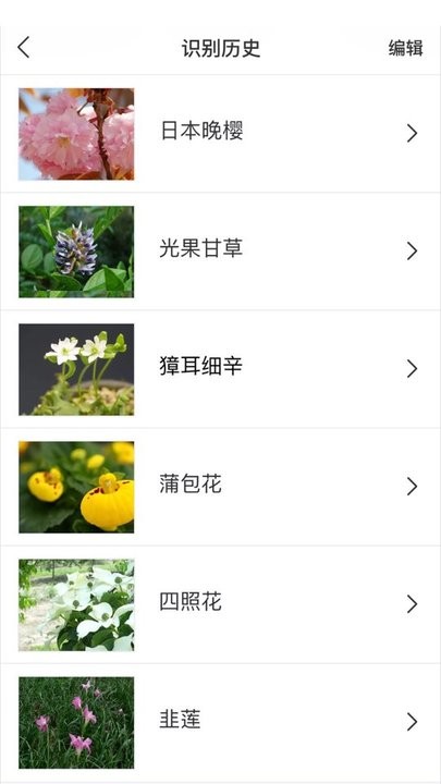 识花大师手机版