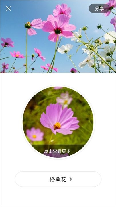 识花大师手机版