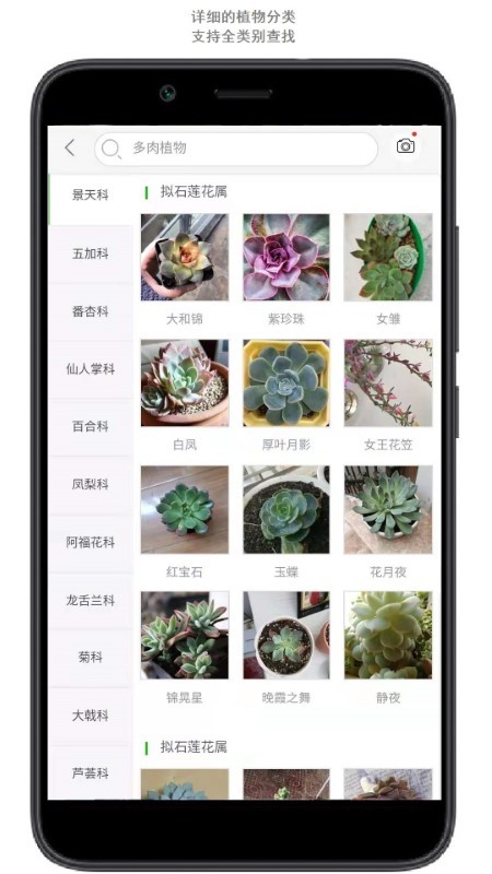 行色识花app