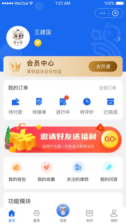 鸮法法律咨询系统