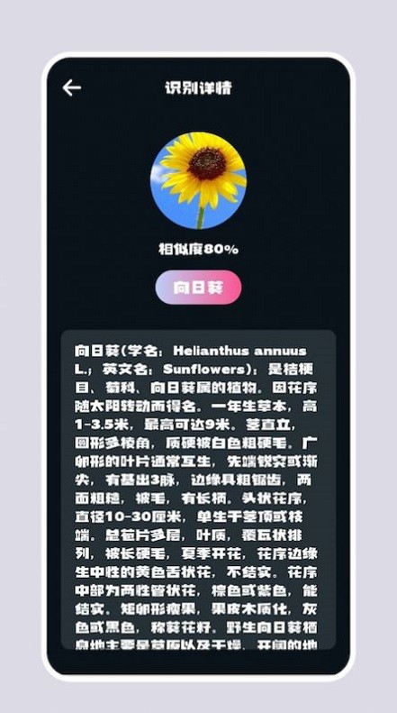 识别花app