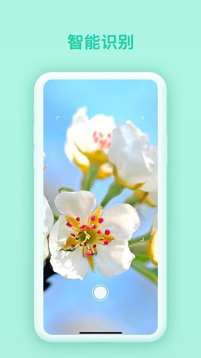 花卉识别app