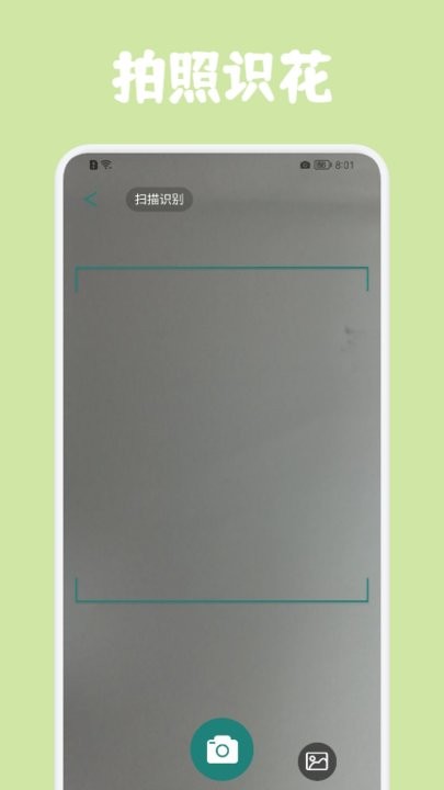 识花帮app